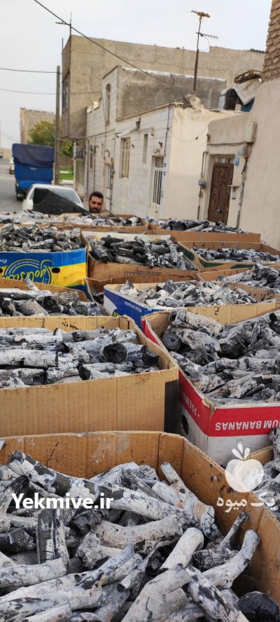 فروش زغال پسته کبابی طاق کبابی در قرچک در گروه خرید فروش عمده سایر محصولات باغبانی مرکبات در یکمیوه -عکس2