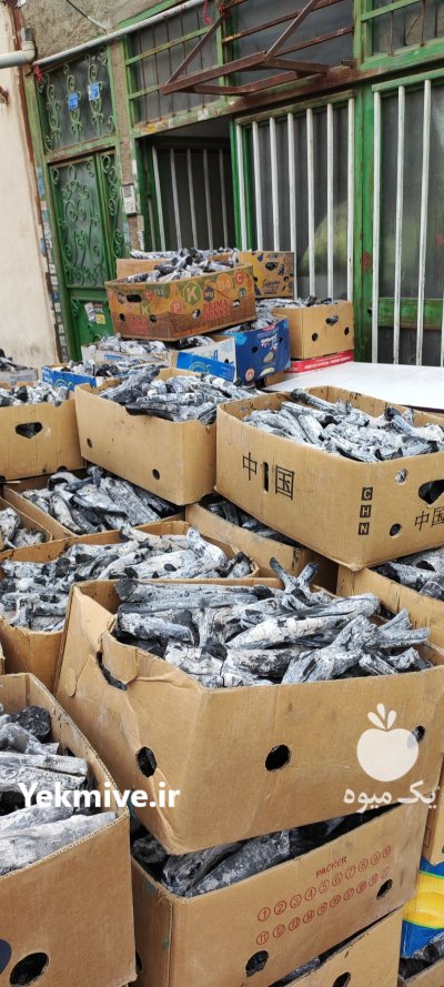 فروش زغال پسته کبابی طاق کبابی در قرچک در گروه خرید فروش عمده سایر محصولات باغبانی مرکبات در یکمیوه -عکس3