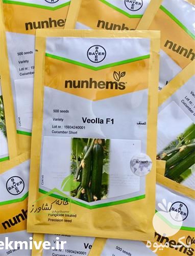 فروش بذر خیار ویولا اصل در زنجان در گروه خرید فروش بذر - انواع محصول کشاورزی گوجه کتان میوه درخت در یکمیوه -عکس1