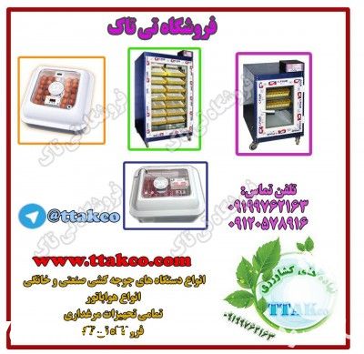فروش انواع دستگاه جوجه کشی صنعتی و خانگی در تهران در گروه تجهیزات دام و طیور - خرید فروش نو دسته دوم در یکمیوه -عکس1