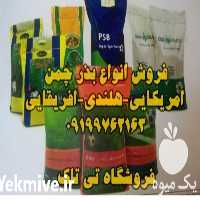 فروش بذر شبدر و چمن در تهران در گروه خرید فروش بذر - انواع محصول کشاورزی گوجه کتان میوه درخت در یکمیوه