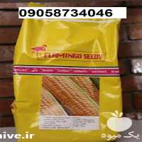بذر ذرت فلامینگو در کرمان  در گروه خرید فروش عمده ذرت - بلال مکزیکی علوفه دانه کشاورز در یکمیوه