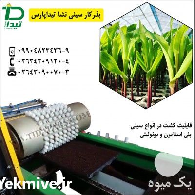 فروش سیدر ماشین کاشت بذر در تهران در گروه خرید فروش نشا - انواع گوجه برنج کاهو پیاز کاری فرنگی در یکمیوه -عکس1