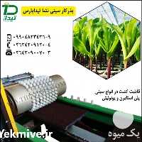 فروش سیدر ماشین کاشت بذر در تهران در گروه خرید فروش نشا - انواع گوجه برنج کاهو پیاز کاری فرنگی در یکمیوه