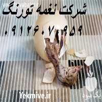 فروش جوجه شترمرغ یک روزه در تهران در گروه مرغ و خروس و بوقلمون و اردک قو قاز در یکمیوه