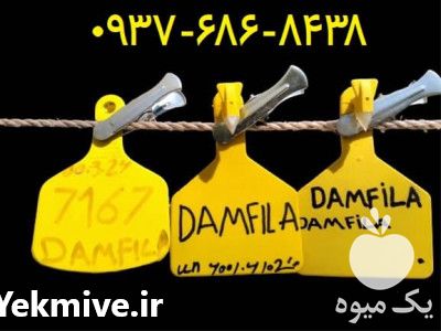 تولید و فروش پلاک گوش دام در تهران در گروه تجهیزات دام و طیور - خرید فروش نو دسته دوم در یکمیوه -عکس1
