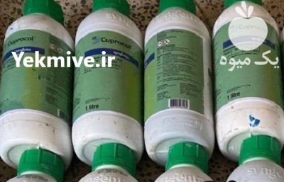 فروش سم کوپراکول سینجینتا در مشهد در گروه سایر محصولات خاک و تغذیه و نهال در یکمیوه -عکس1
