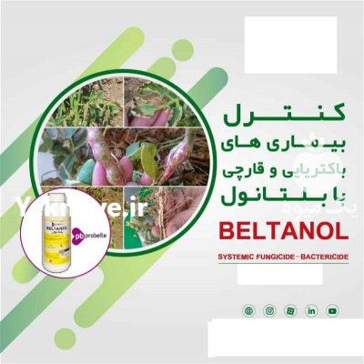 فروش سم بلتانول در ایلام در گروه سایر محصولات خاک و تغذیه و نهال در یکمیوه -عکس2