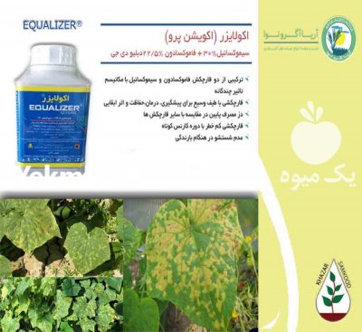 فروش سم اکوشن دو پوینت در تهران در گروه سایر محصولات خاک و تغذیه و نهال در یکمیوه -عکس3