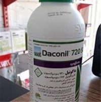 فروش سم داکونیل سینجینتا در قزوین در گروه سایر محصولات خاک و تغذیه و نهال در یکمیوه