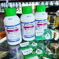 فروش سم کاریال استار سینجینتا در ساری در گروه سایر محصولات خاک و تغذیه و نهال در یکمیوه
