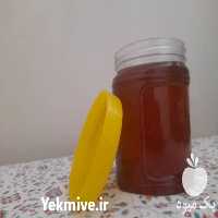 فروش عسل چهل گیاه ارگانیک در تویسرکان در گروه عسل شیره و فرآورده ی مربا - طبیعی گون کوهی آویشن در یکمیوه