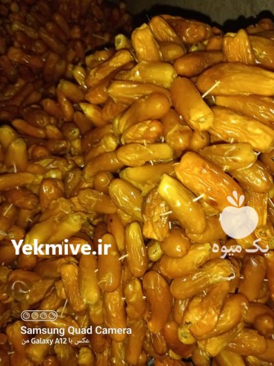 فروش عمده خارک بندی خشک جهرم در اصفهان در گروه خرید فروش عمده خرما - کبکاب تازه زاهدی خشک خارک در یکمیوه -عکس1