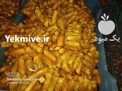 فروش عمده خارک بندی خشک جهرم در اصفهان در گروه خرید فروش عمده خرما - کبکاب تازه زاهدی خشک خارک در یکمیوه -عکس2