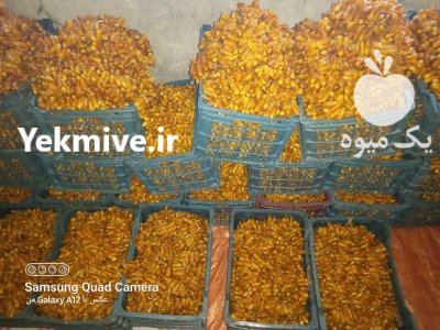فروش عمده خارک بندی خشک جهرم در اصفهان در گروه خرید فروش عمده خرما - کبکاب تازه زاهدی خشک خارک در یکمیوه -عکس3