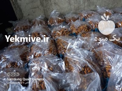 فروش عمده خارک بندی خشک در جهرم در گروه خرید فروش عمده خرما - کبکاب تازه زاهدی خشک خارک در یکمیوه -عکس1