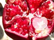 خرید انار درجه یک از باغدار در قم در گروه خرید فروش عمده انار - ساوه شیراز شیرین ترش در یکمیوه -عکس1