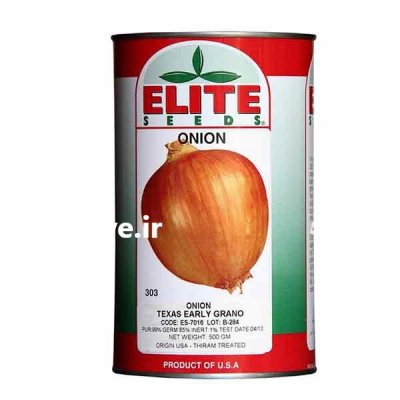 بذر پیاز تگزاس _ الیت در تهران در گروه خرید فروش بذر - انواع محصول کشاورزی گوجه کتان میوه درخت در یکمیوه -عکس1