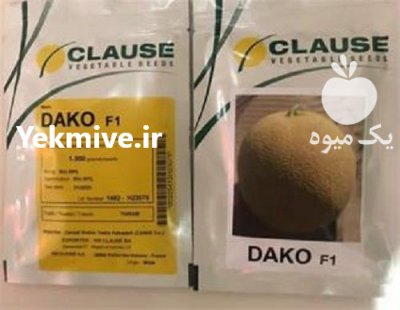 قیمت عرضه بذر خربزه داکو در بابلسر در گروه خرید فروش بذر - انواع محصول کشاورزی گوجه کتان میوه درخت در یکمیوه -عکس2