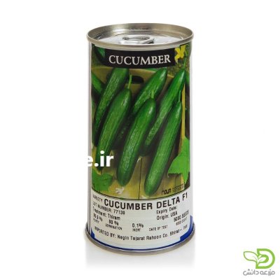 فروش بذر خیار دلتا در کرج در گروه خرید فروش عمده خیار - فروش عمده انواع خیار گلخانه ای در یکمیوه -عکس1