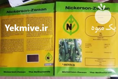 قیمت بذر خیار کیهان در تهران در گروه خرید فروش بذر - انواع محصول کشاورزی گوجه کتان میوه درخت در یکمیوه -عکس2