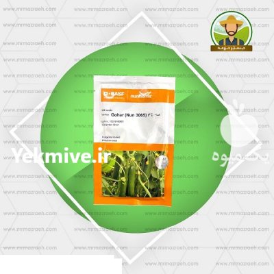قیمت بذر گلخانه ای خیار گوهر در تبریز در گروه خرید فروش عمده خیار - فروش عمده انواع خیار گلخانه ای در یکمیوه -عکس1