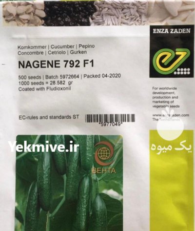 قیمت بذر خیار ناگین در همدان در گروه خرید فروش عمده خیار - فروش عمده انواع خیار گلخانه ای در یکمیوه -عکس1