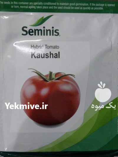 بذر گوجه بریویو اورجین تایلند در همدان در گروه خرید فروش بذر - انواع محصول کشاورزی گوجه کتان میوه درخت در یکمیوه -عکس3
