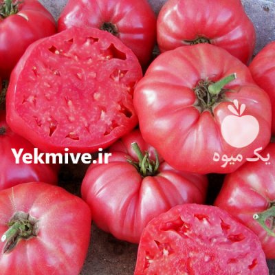 قیمت بذر گوجه فرنگی بیف در اراک در گروه خرید فروش بذر - انواع محصول کشاورزی گوجه کتان میوه درخت در یکمیوه -عکس2