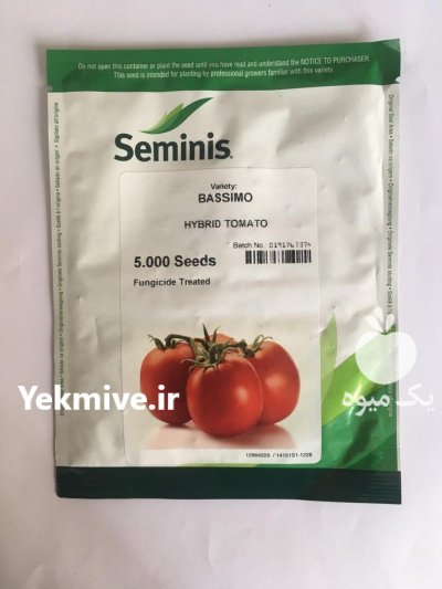 قیمت بذر گوجه فرنگی باسیمو در چالوس در گروه خرید فروش بذر - انواع محصول کشاورزی گوجه کتان میوه درخت در یکمیوه -عکس1