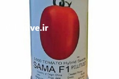 قیمت بذر گوجه فرنگی سماء در بیرجند در گروه خرید فروش بذر - انواع محصول کشاورزی گوجه کتان میوه درخت در یکمیوه -عکس1