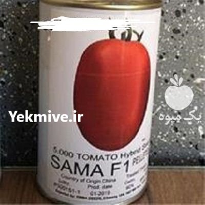 قیمت بذر گوجه فرنگی سماء در بیرجند در گروه خرید فروش بذر - انواع محصول کشاورزی گوجه کتان میوه درخت در یکمیوه -عکس2