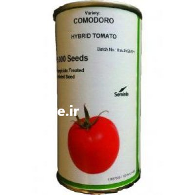 قیمت بذر گوجه فرنگی کمودور در بجنورد در گروه خرید فروش عمده گوجه فرنگی - فرنگی سبز قرمز سیاه کبابی ربی در یکمیوه -عکس1