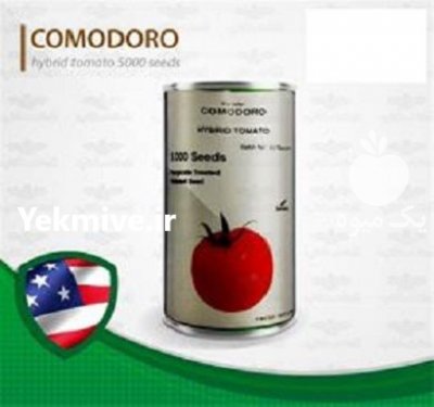 قیمت بذر گوجه فرنگی کمودور در بجنورد در گروه خرید فروش عمده گوجه فرنگی - فرنگی سبز قرمز سیاه کبابی ربی در یکمیوه -عکس2