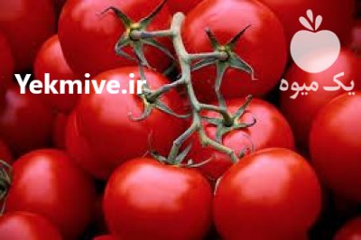 قیمت بذر گوجه فرنگی کمودور در بجنورد در گروه خرید فروش عمده گوجه فرنگی - فرنگی سبز قرمز سیاه کبابی ربی در یکمیوه -عکس3