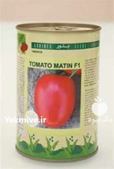 قیمت بذر گوجه فرنگی متین در ایلام در گروه خرید فروش بذر - انواع محصول کشاورزی گوجه کتان میوه درخت در یکمیوه -عکس3