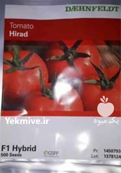 قیمت بذر گوجه فرنگی هیراد در رامسر در گروه خرید فروش بذر - انواع محصول کشاورزی گوجه کتان میوه درخت در یکمیوه -عکس2