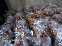 فروش عمده خارک بندی خشک در جهرم در گروه خرید فروش عمده خرما - کبکاب تازه زاهدی خشک خارک در یکمیوه