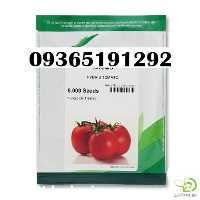 فروش قیمت بذر گوجه فرنگی باسیمو در اردبیل در گروه خرید فروش بذر - انواع محصول کشاورزی گوجه کتان میوه درخت در یکمیوه