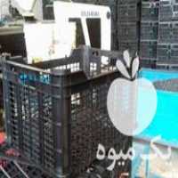 فروش سبد میوه 14 کیلویی در تهران در گروه خرید فروش انواع سبد - میوه پلاستیکی چوبی گل در یکمیوه