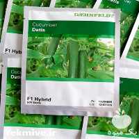 فروش بذر هندوانه رویال با قیمت مناسب در تهران در گروه خرید فروش بذر - انواع محصول کشاورزی گوجه کتان میوه درخت در یکمیوه