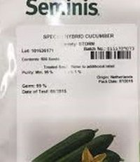 _ فروش بذر خیار استورم _ در اهواز در گروه خرید فروش بذر - انواع محصول کشاورزی گوجه کتان میوه درخت در یکمیوه