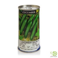 فروش بذر خیار دلتا در کرج در گروه خرید فروش عمده خیار - فروش عمده انواع خیار گلخانه ای در یکمیوه