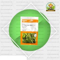 قیمت بذر گلخانه ای خیار گوهر در تبریز در گروه خرید فروش عمده خیار - فروش عمده انواع خیار گلخانه ای در یکمیوه