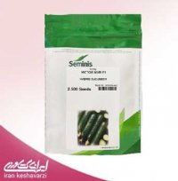 قیمت بذر خیار ویکتور در پلدختر در گروه خرید فروش عمده خیار - فروش عمده انواع خیار گلخانه ای در یکمیوه