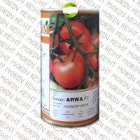 قیمت بذر گوجه فرنگی آروا در تنکابن در گروه خرید فروش عمده گوجه فرنگی - فرنگی سبز قرمز سیاه کبابی ربی در یکمیوه