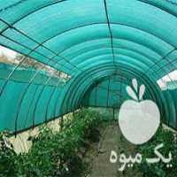 فروش توری شید گلخانه ای در تهران در گروه خرید فروش انواع پوشش ها و ورق ها - پلی استر پلی کربنات نایلون در یکمیوه