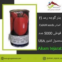 قیمت بذر گوجه فرنگی رعد در یاسوج در گروه خرید فروش بذر - انواع محصول کشاورزی گوجه کتان میوه درخت در یکمیوه