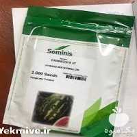 بذر هندوانه پرفروش B 32 در ایلام در گروه خرید فروش عمده هندوانه - صادراتی گرد بیضی زرد قرمز در یکمیوه