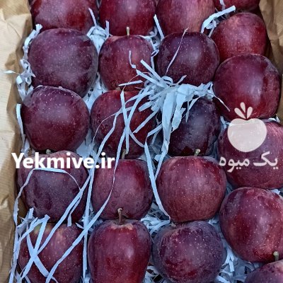 فروش سیب درختی در اهر  در گروه خرید فروش عمده سیب - زرد و قرمز گلاب پاییزه در یکمیوه -عکس1